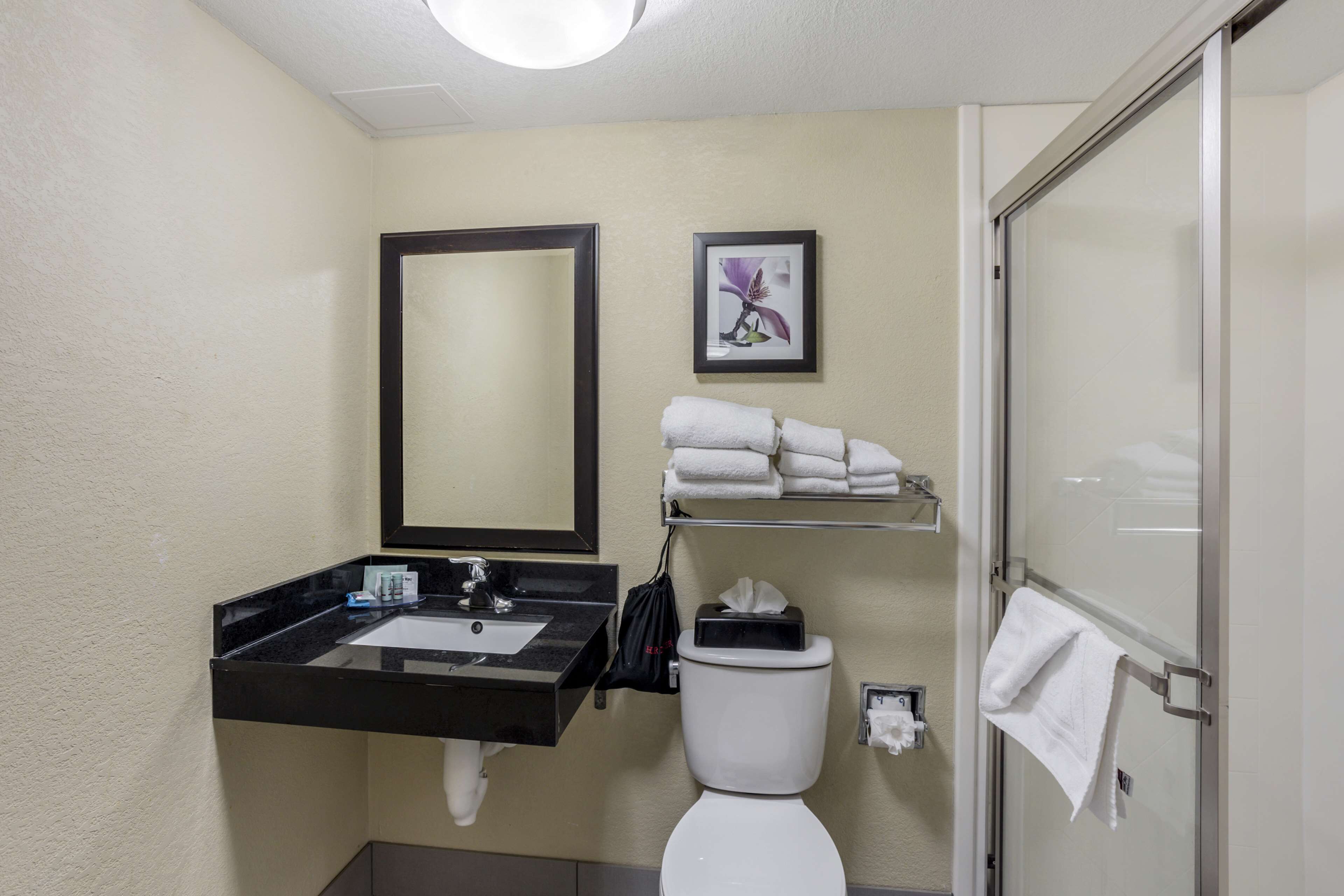 A bathroom with a sink, mirror, toilet, and a glass shower enclosure.