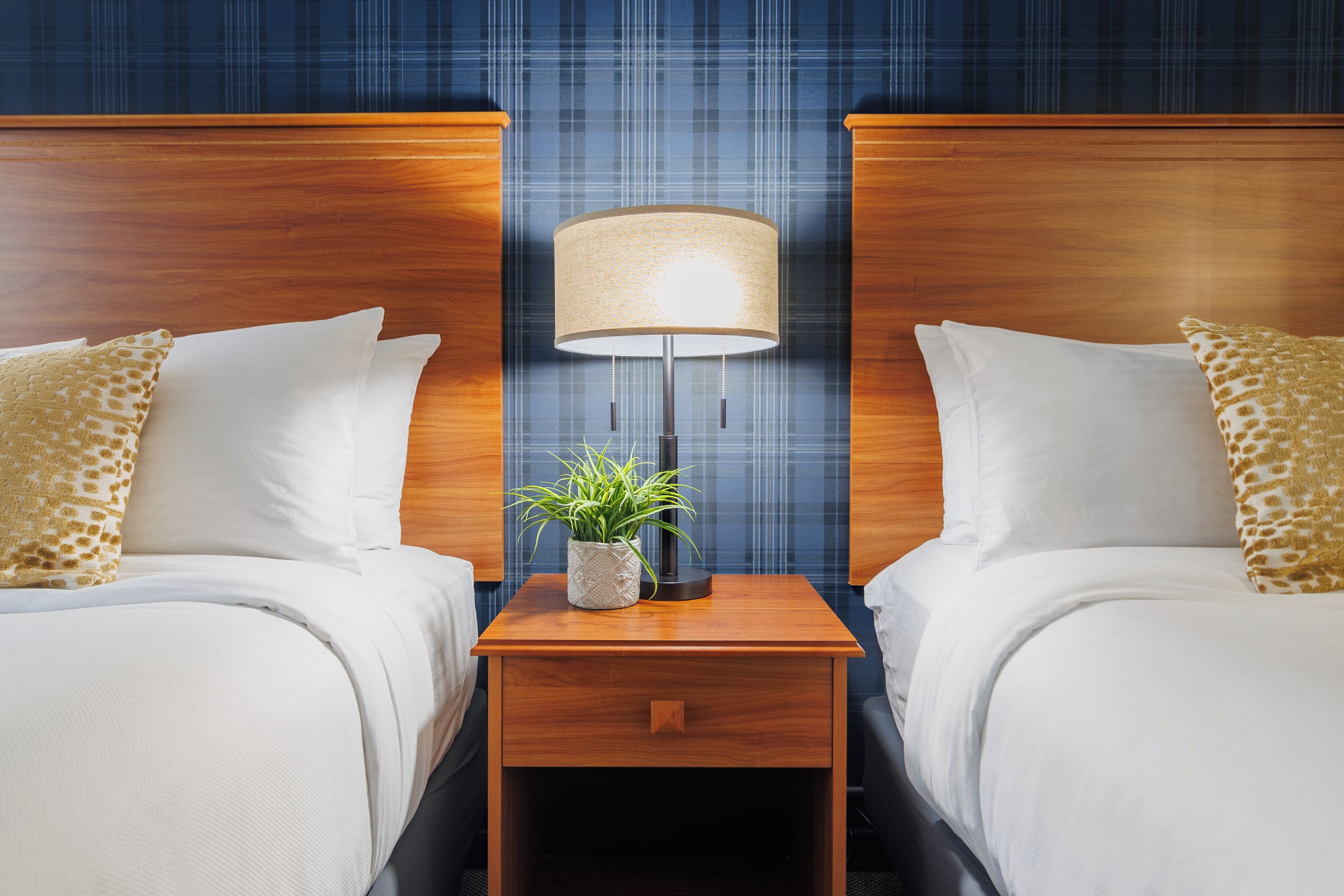A hotel room with two beds, a nightstand with a lamp, and a potted plant.