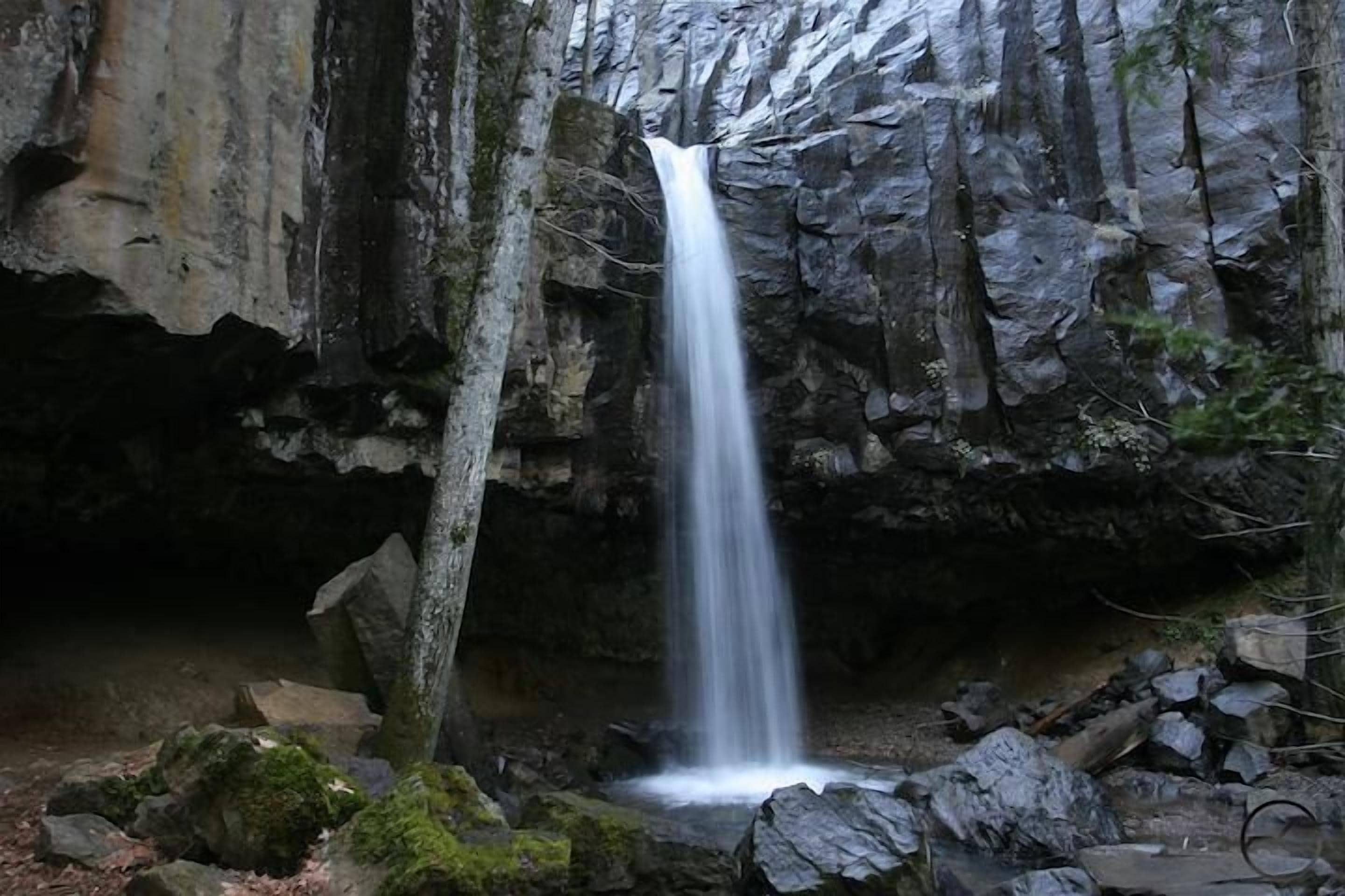 Una cascata in uno stretto burrone, con rocce e alberi ricoperti di muschio.