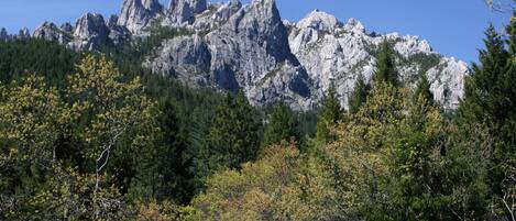 A mountainous landscape with rocky peaks and dense forest.