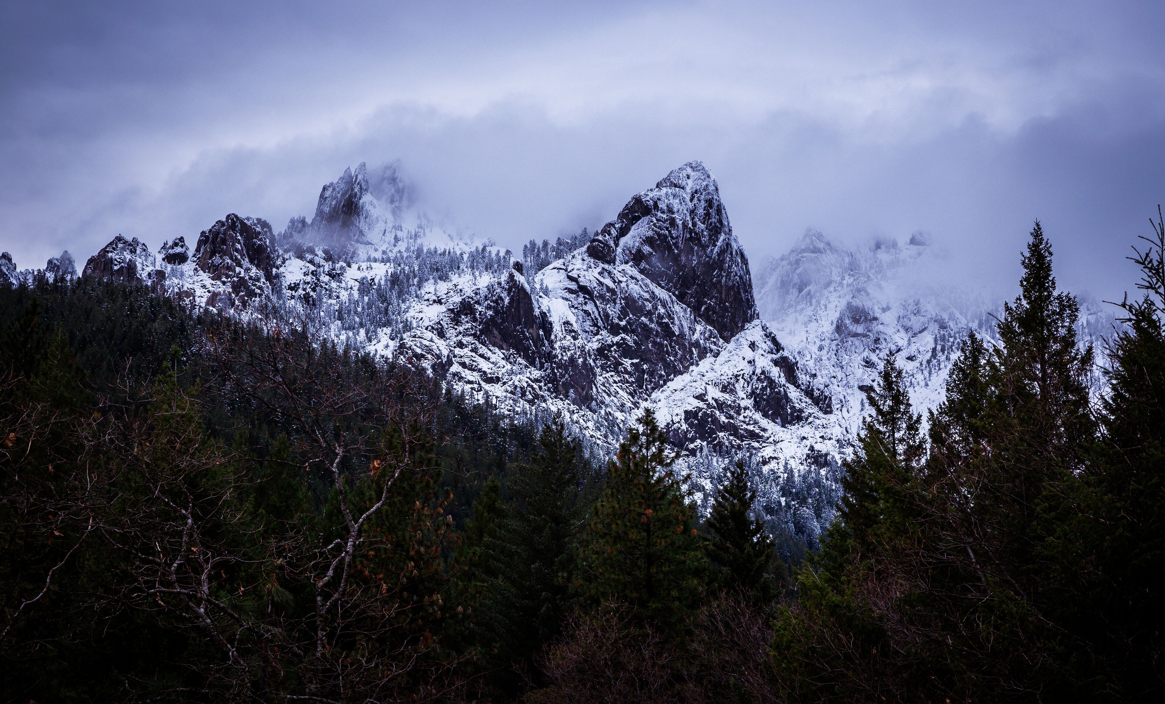 Een bergachtig landschap met besneeuwde toppen en dicht bos.