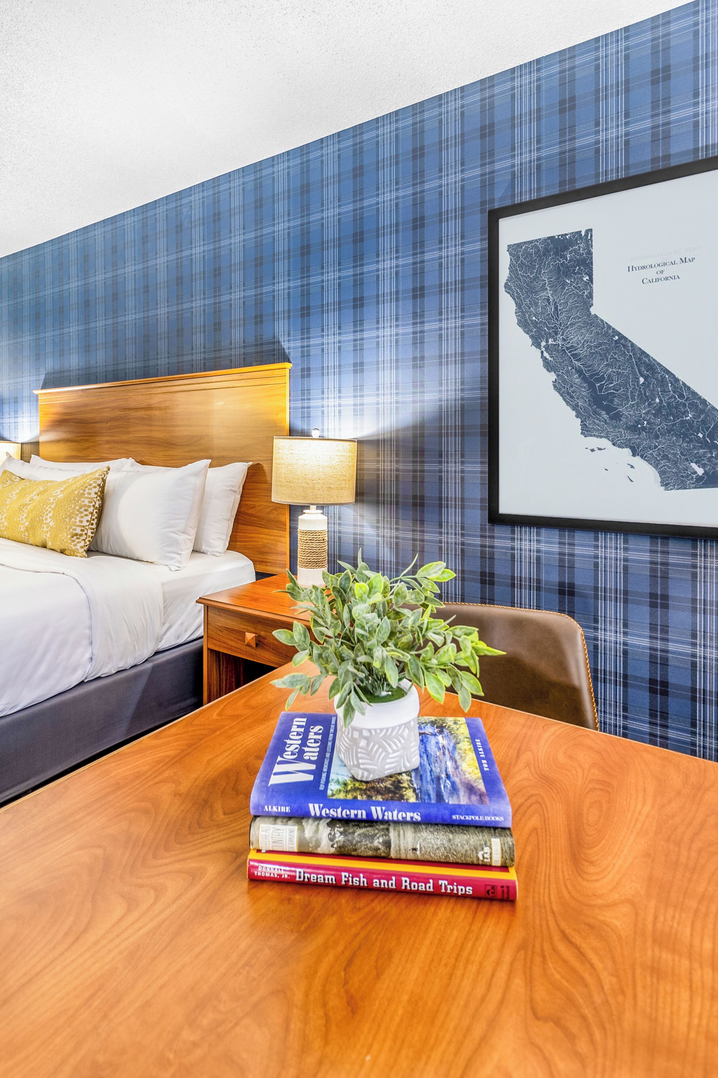 A hotel room with a bed, a bedside table with a lamp, a framed map on the wall, and a table with books and a plant.
