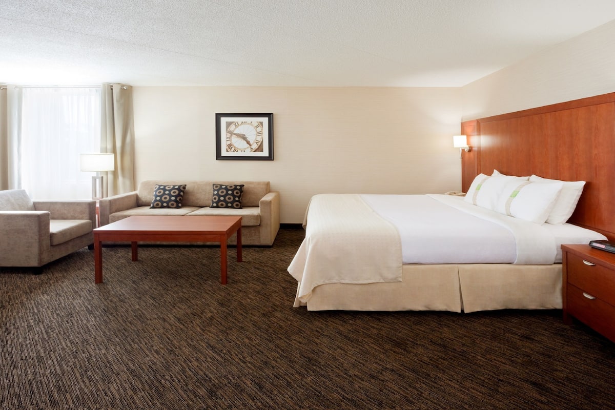 Premium Room, 1 King Bed, Corner | Pillow-top beds, desk, blackout curtains, iron/ironing board