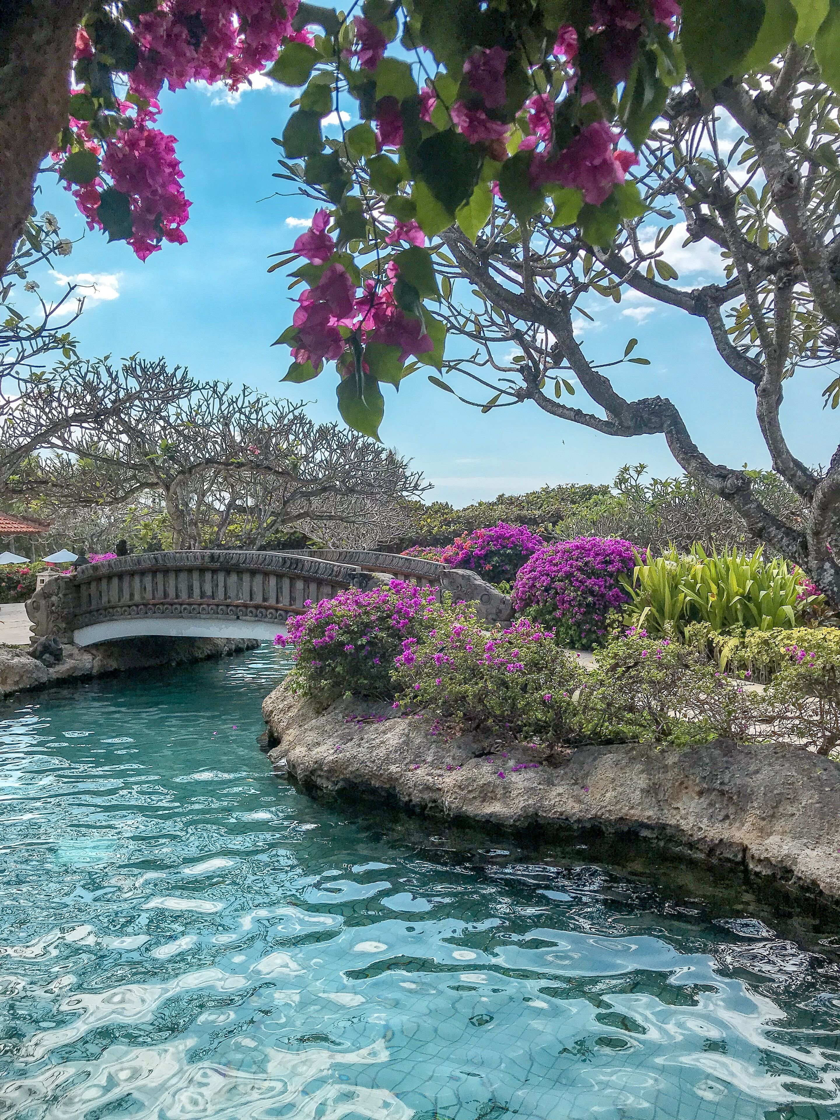 5 ulkouima-allasta avoinna 8.00–19.00, aurinkovarjoja