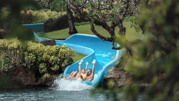 5 ๊ฐ์ ์ผ์ธ ์์์ฅ, 08:00 ~ 19:00 ์คํ, ์์์ฅ ํ๋ผ์