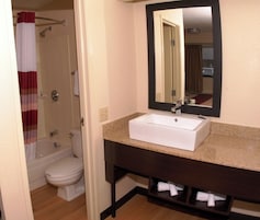 A bathroom with a white sink, a mirror, a shower, and a toilet.