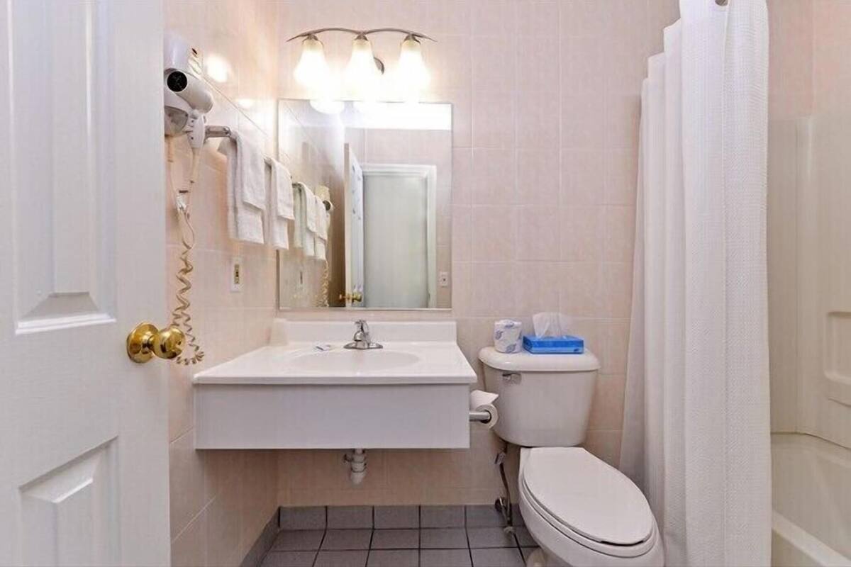 A bathroom with a sink, mirror, toilet, and shower curtain.