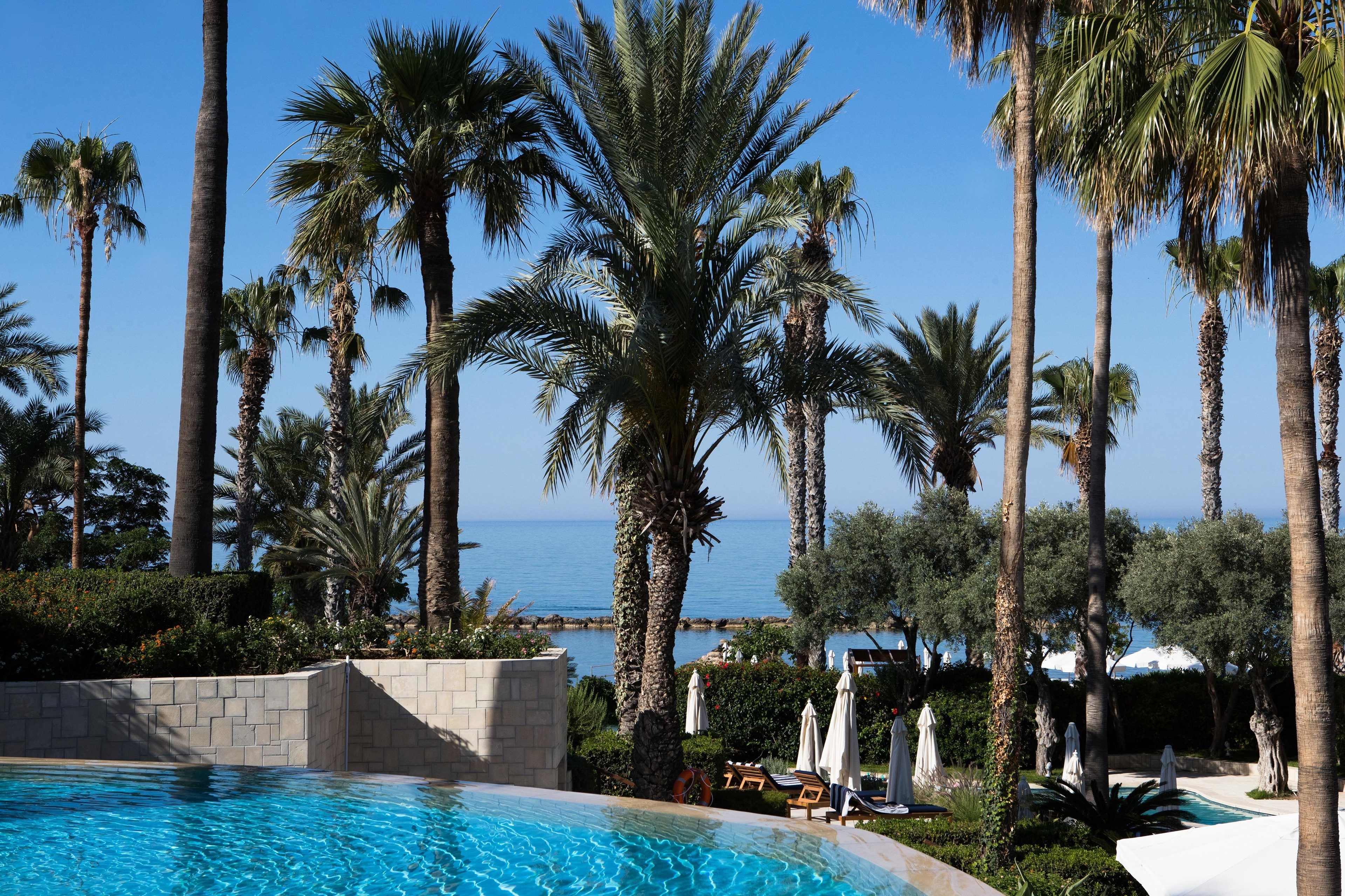 A pool area with palm trees and a view of the sea.