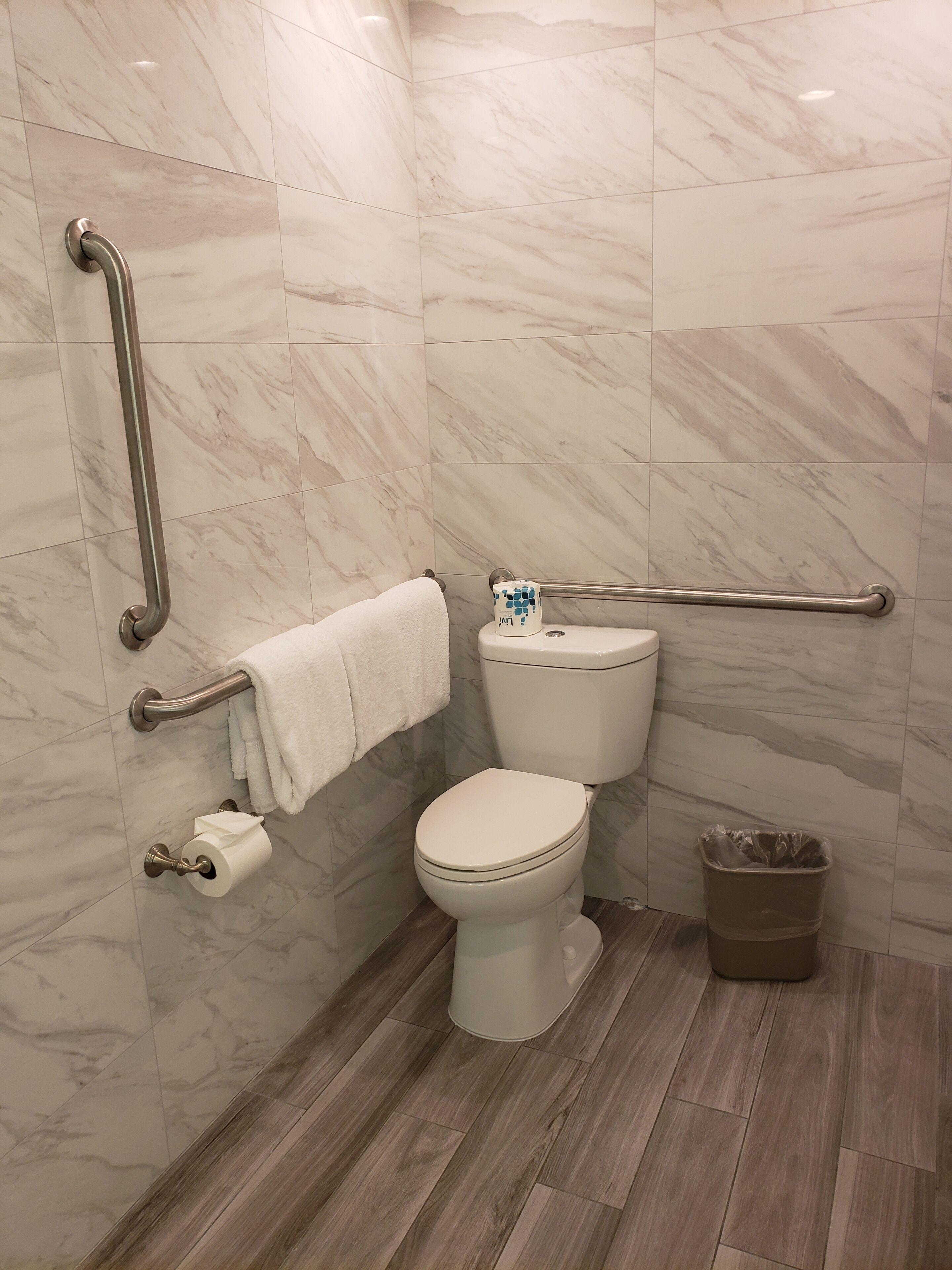 Ein Badezimmer mit Toilette, Haltegriffen, einem Handtuchhalter, einem Mülleimer und einer Wand mit Marmorfliesen.
