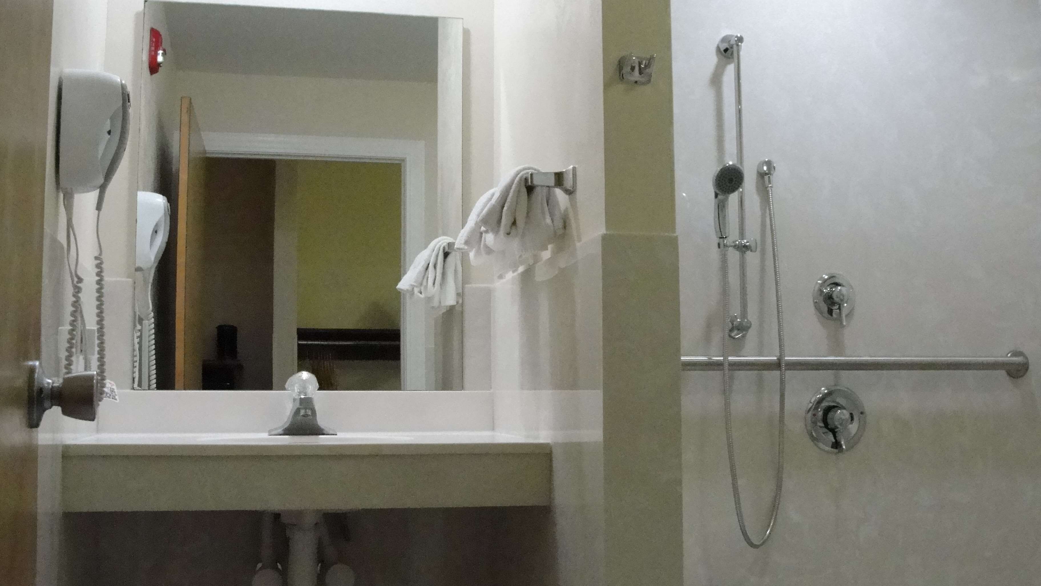 A bathroom with a mirror, a towel rack, a shower with a handheld showerhead, and a hairdryer.
