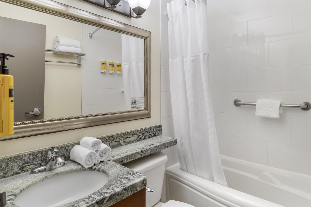 standard room, 2 queen beds, refrigerator, lake view (refrigerator) | bathroom | combined shower/bathtub, free toiletries, hair dryer, towels