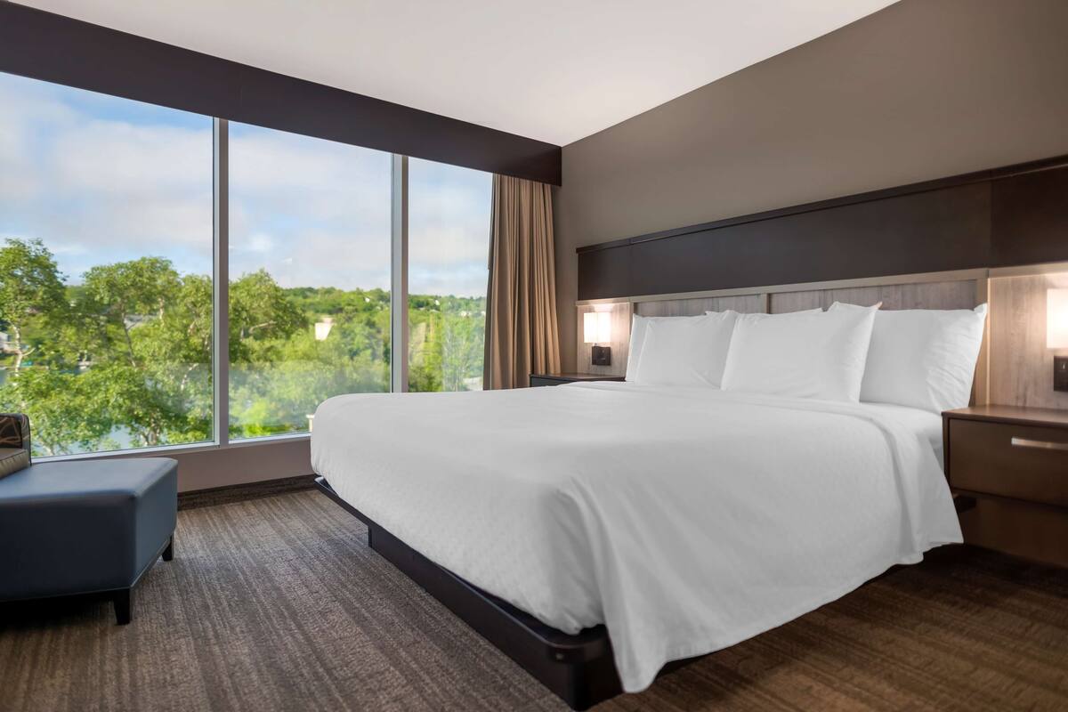 A modern hotel room with a large bed, a bench, and a view of greenery through large windows.