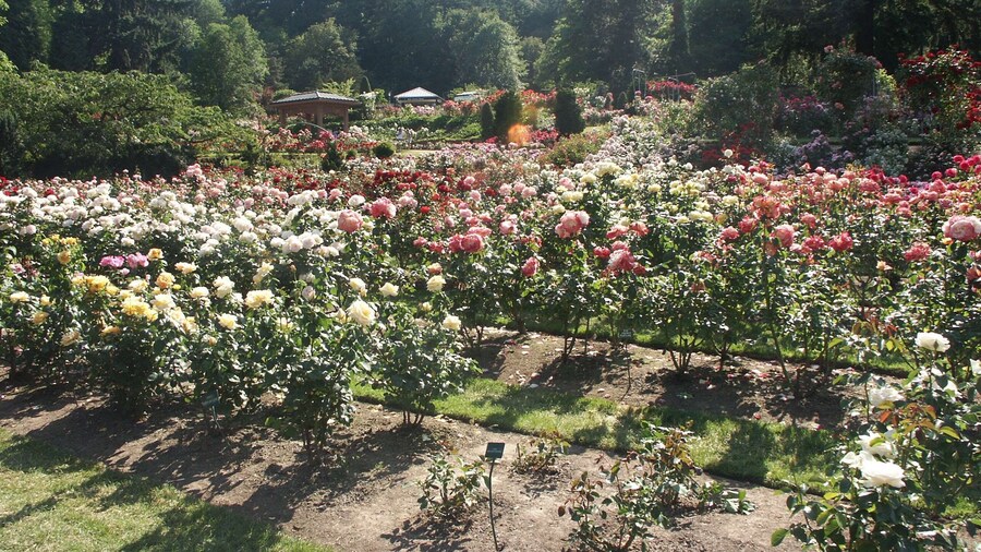 Hampton Inn Portland East