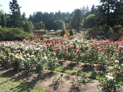 Hampton Inn Portland East