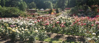 Hampton Inn Portland East