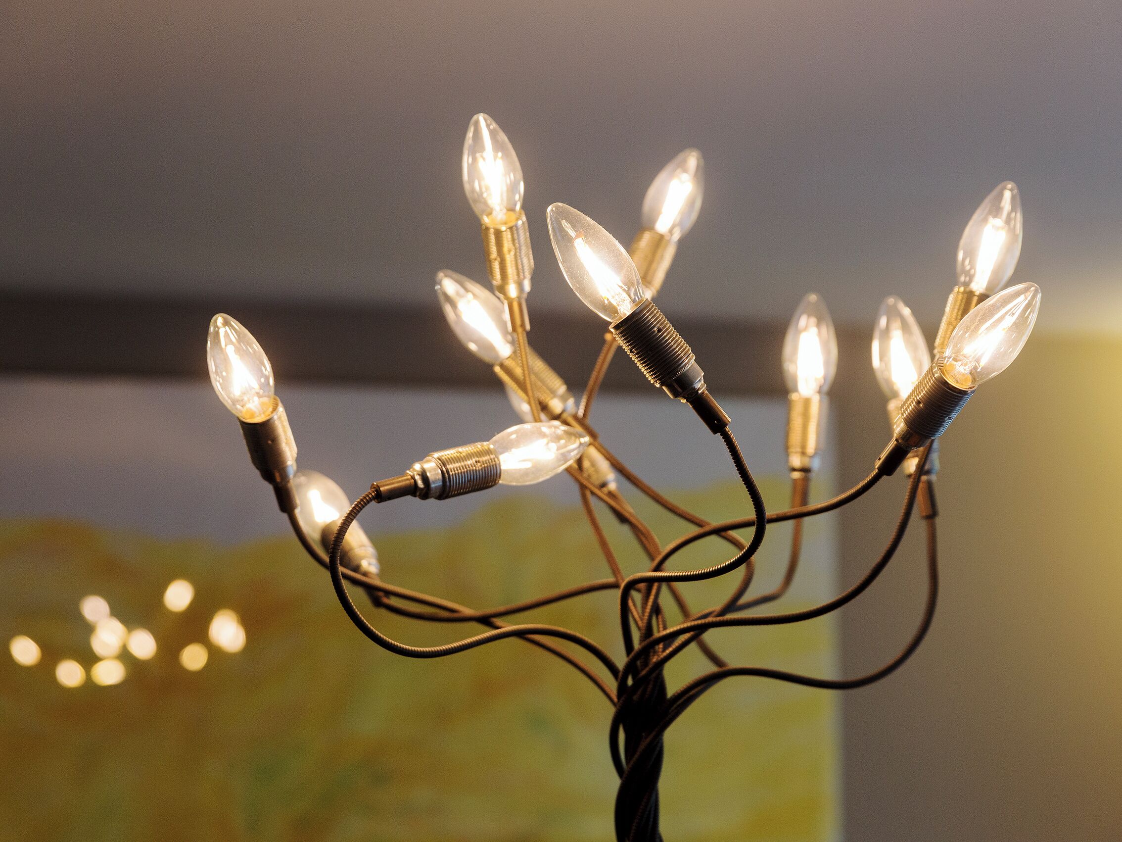 A string of clear glass bulbs with a warm glow, connected by a black wire.