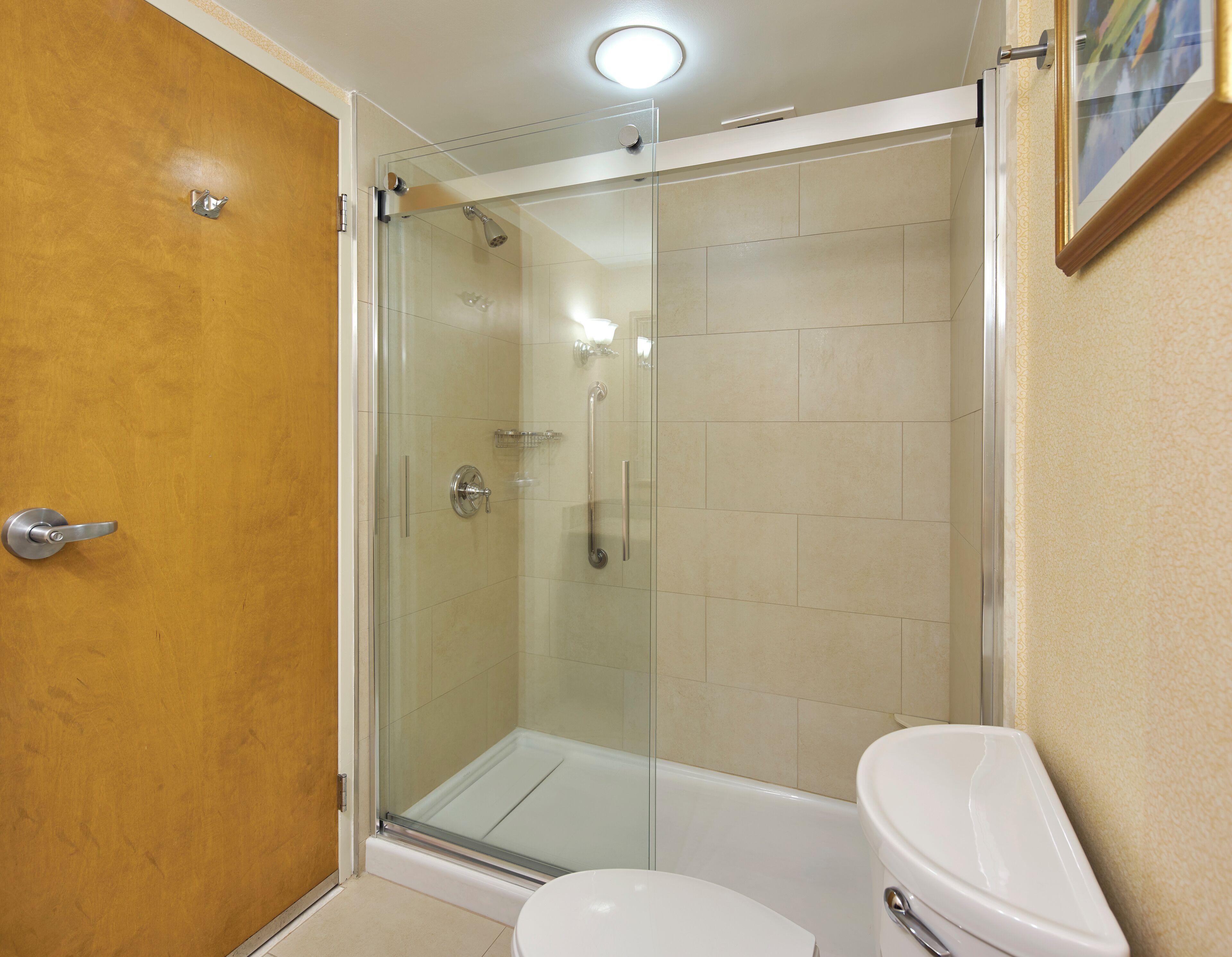 A bathroom with a glass-enclosed shower, a white toilet, and a wooden door.