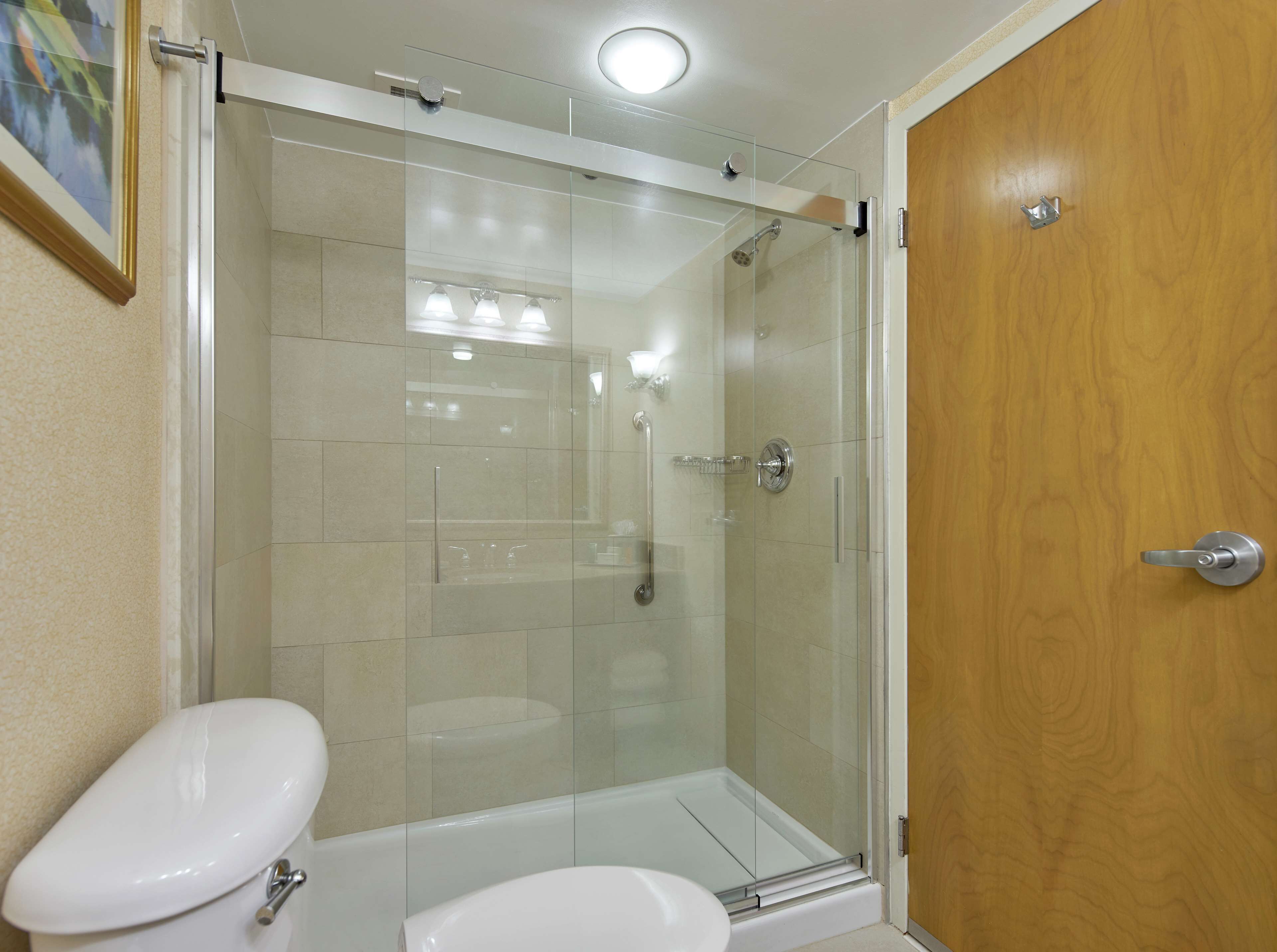 A bathroom with a glass-enclosed shower, a toilet, and a wooden door.