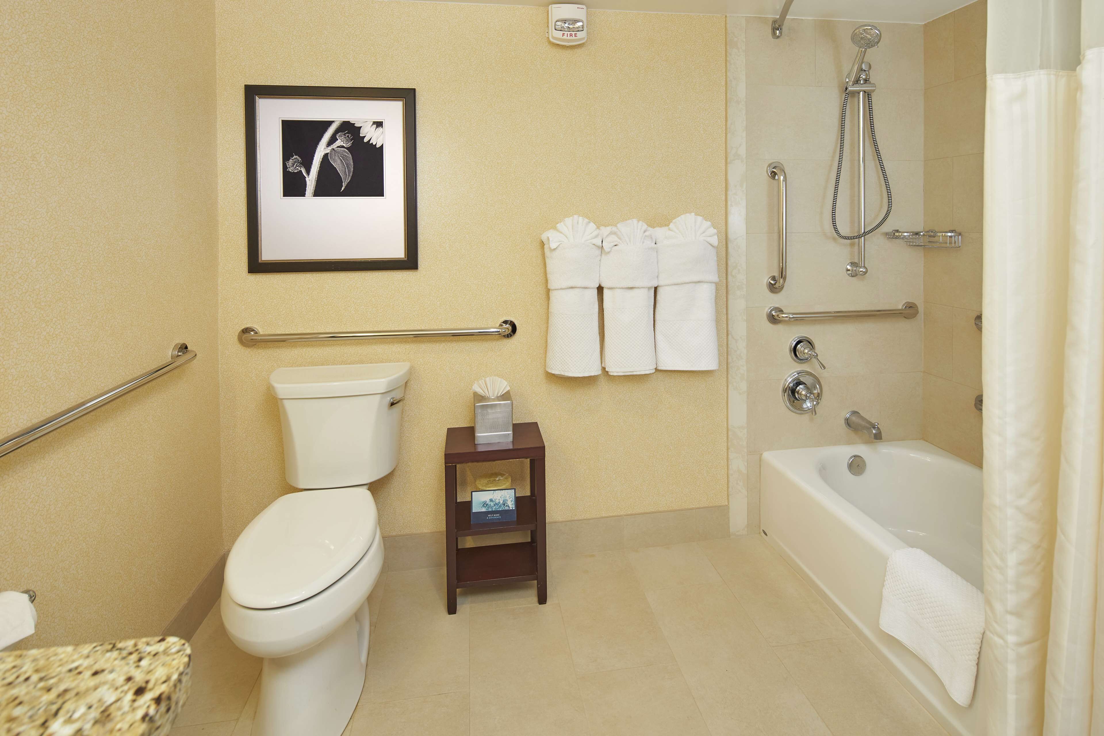 Un bagno con servizi igienici, bidet e vasca da bagno. Sono presenti maniglie di sostegno, un portasciugamani e un quadro appeso al muro.