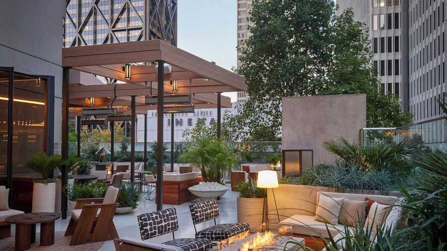 The Jay, Autograph Collection