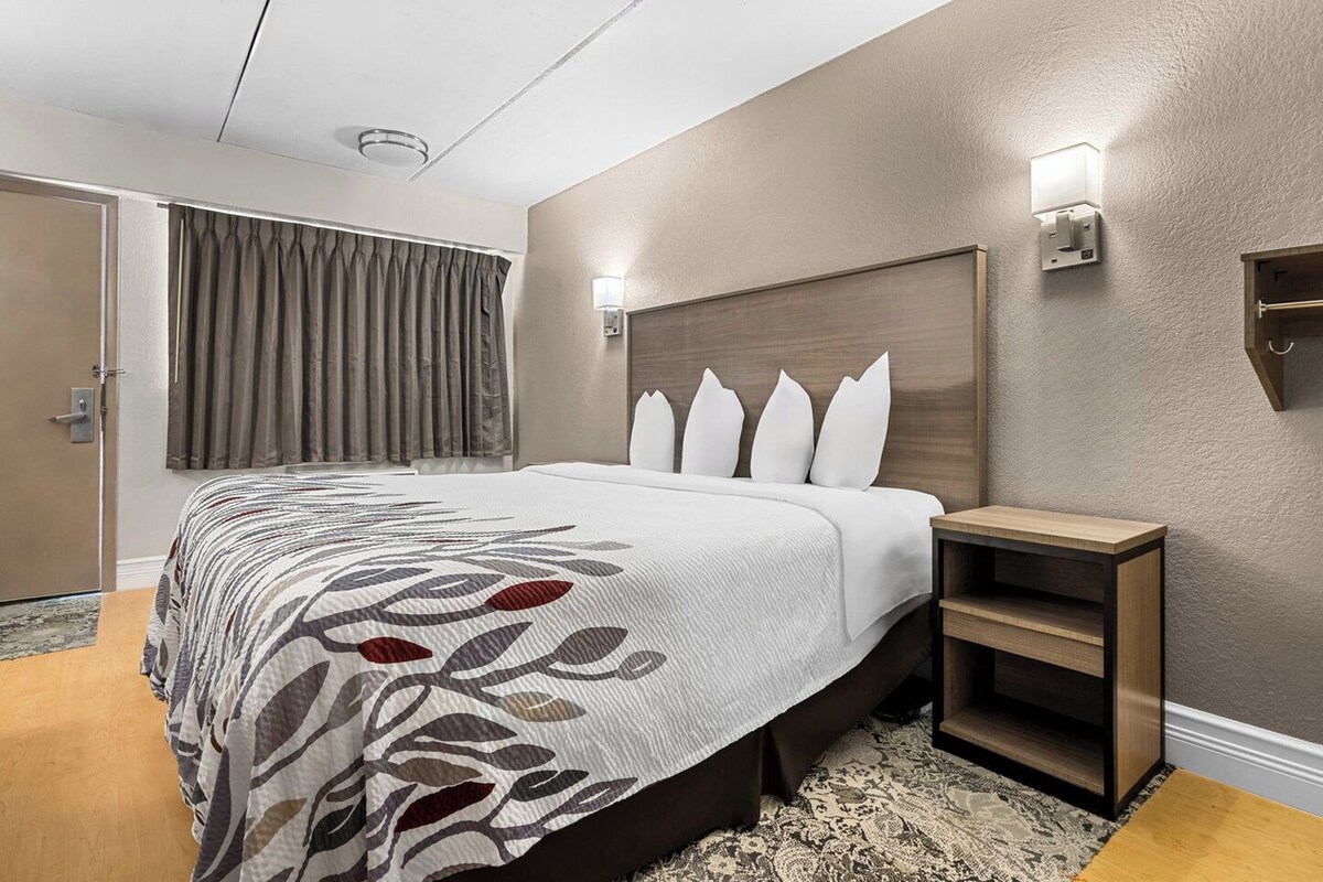 Una habitación de hotel moderna con una cama grande, una mesita de noche y un cabecero.