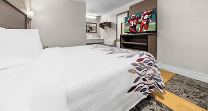 Red Roof Inn Tampa Fairgrounds – Casino