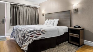 A hotel room with a bed, a bedside table with a phone, a wall-mounted light, and a door with curtains. - Red Roof Inn Tampa Fairgrounds – Casino (Tampa)