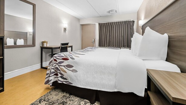 A hotel room with a large bed, a desk, a chair, a mirror, and a window with curtains. - Red Roof Inn Tampa Fairgrounds – Casino (Tampa)