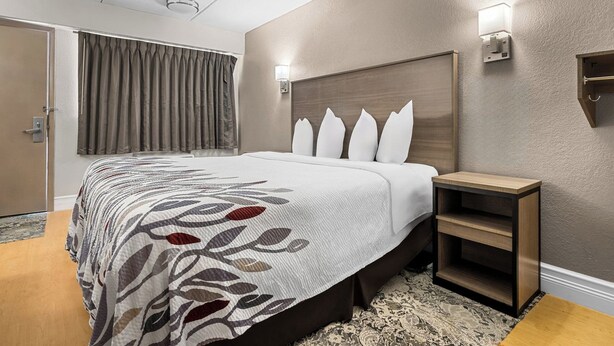 Una habitación de hotel moderna con una cama grande, una mesita de noche y un cabecero.