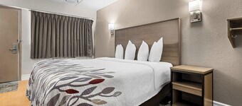 Red Roof Inn Tampa Fairgrounds – Casino