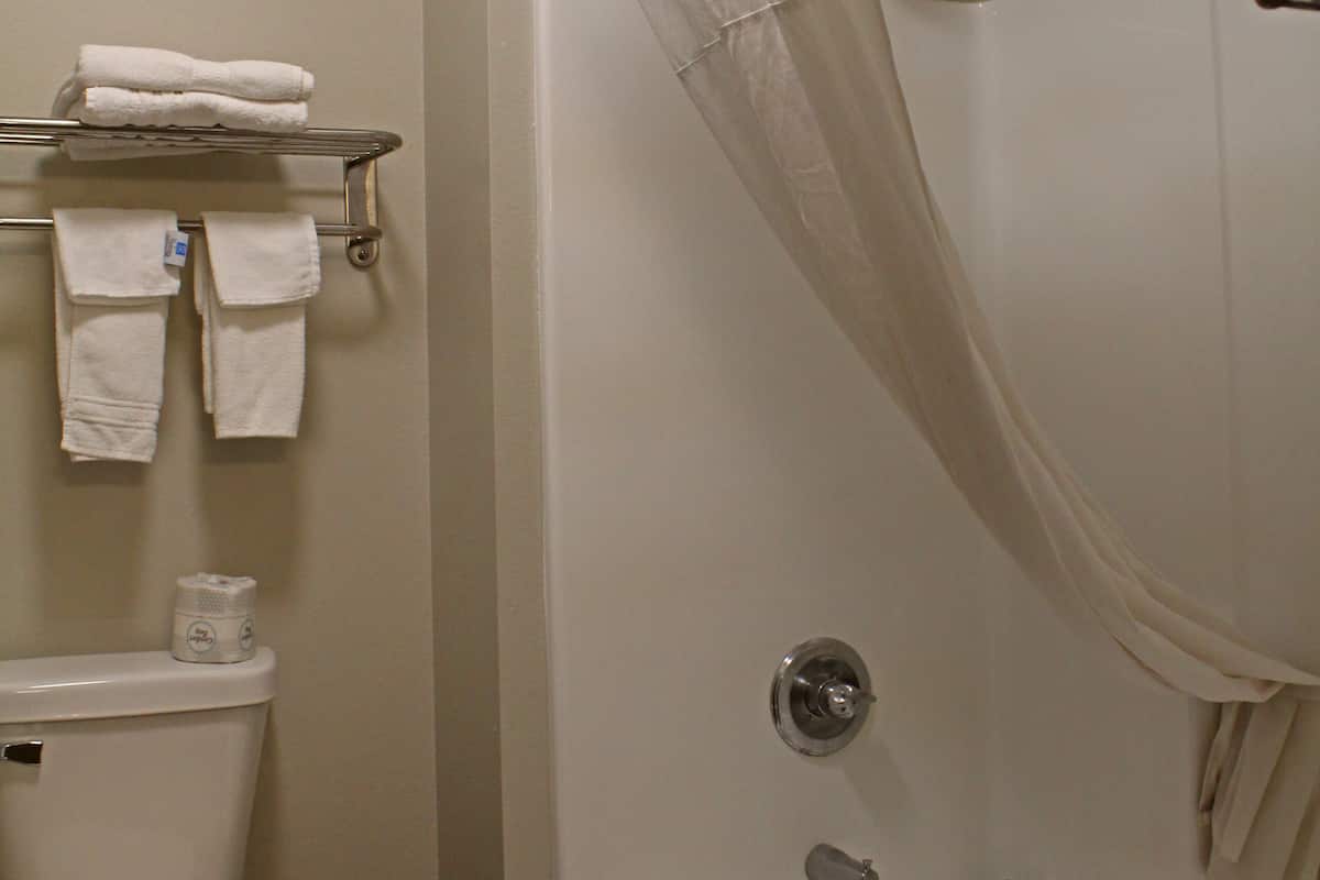 Hair dryer, towels