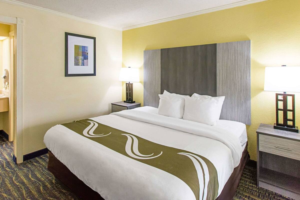 A hotel room with a bed, a nightstand, a lamp, a framed picture on the wall, and a door.
