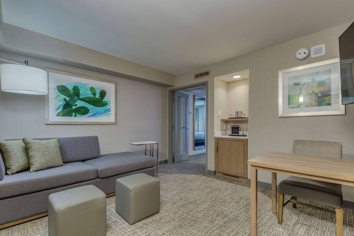 A modern hotel room with a gray sofa, a small table, and a framed cactus artwork on the wall.