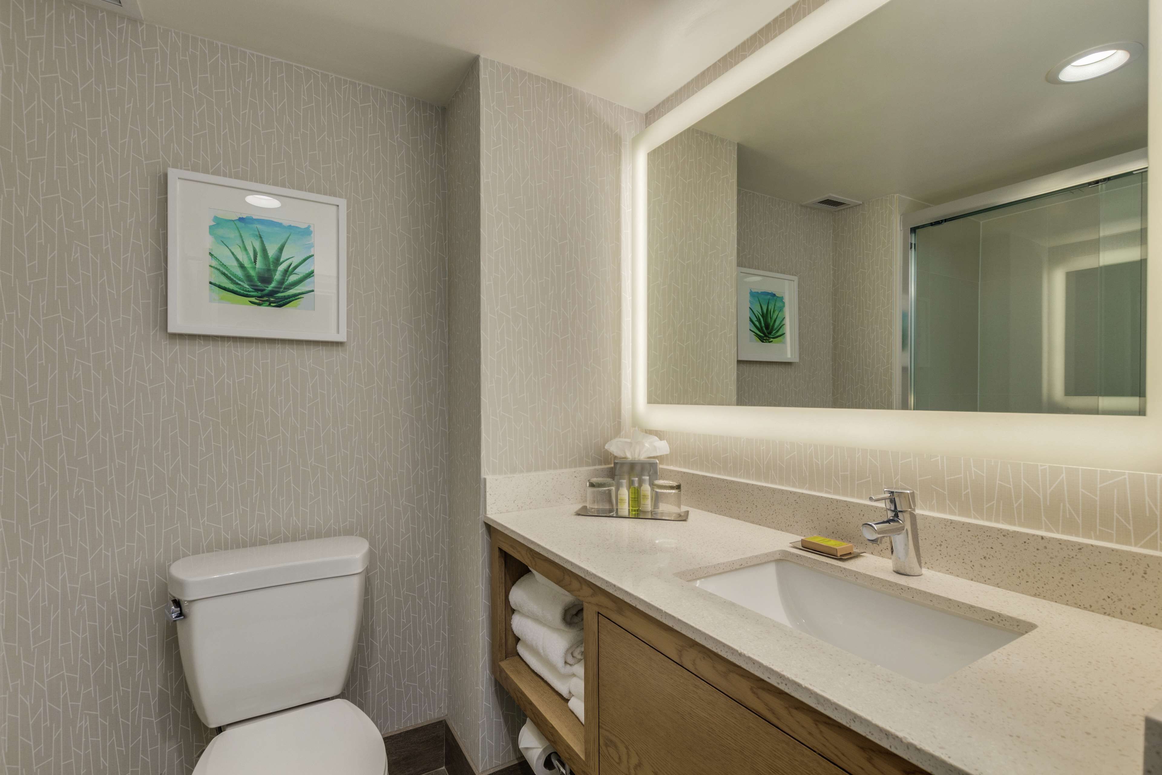 A modern bathroom with a toilet, sink, and mirror.
