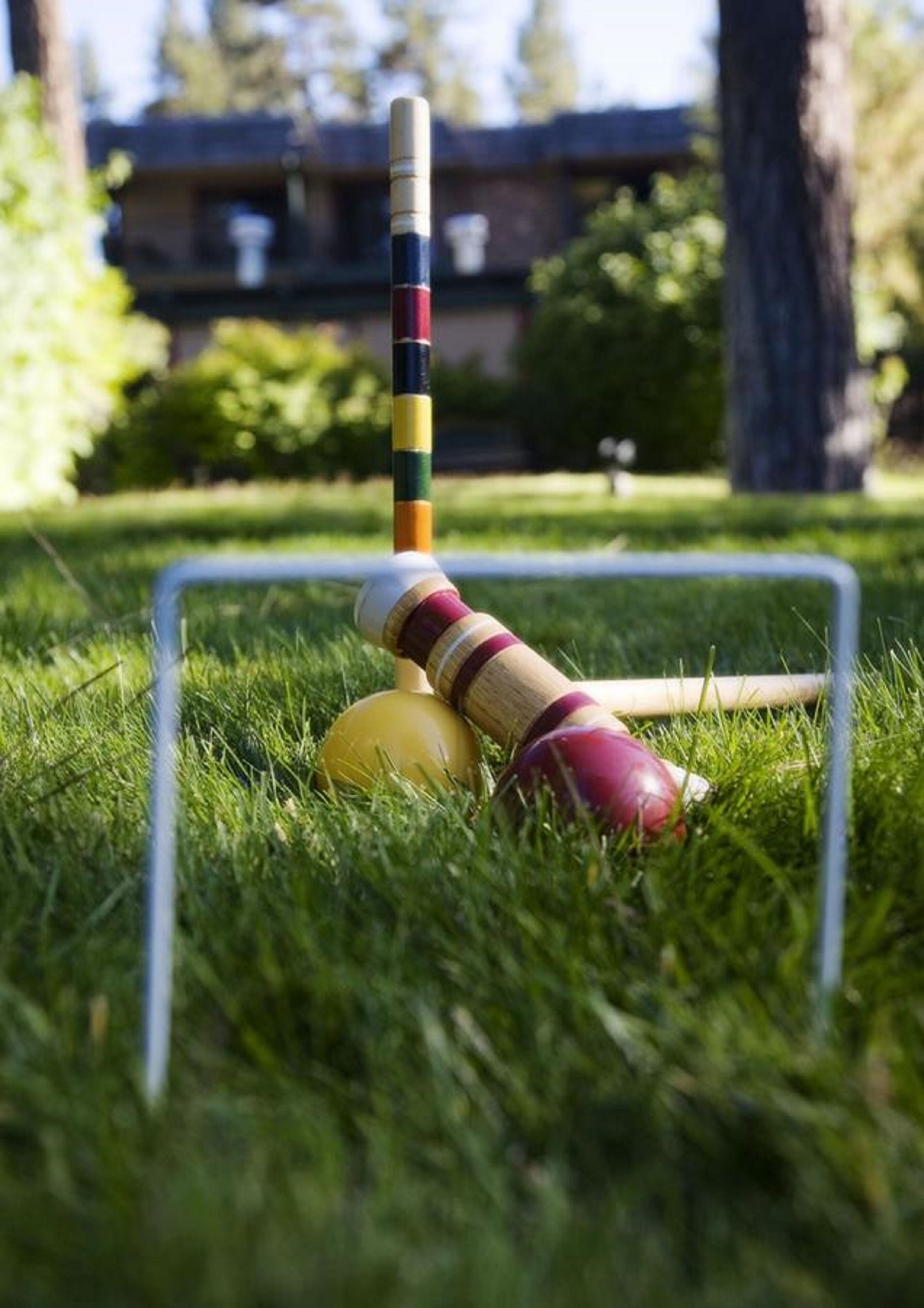 Un set per il croquet su un prato con un portale.