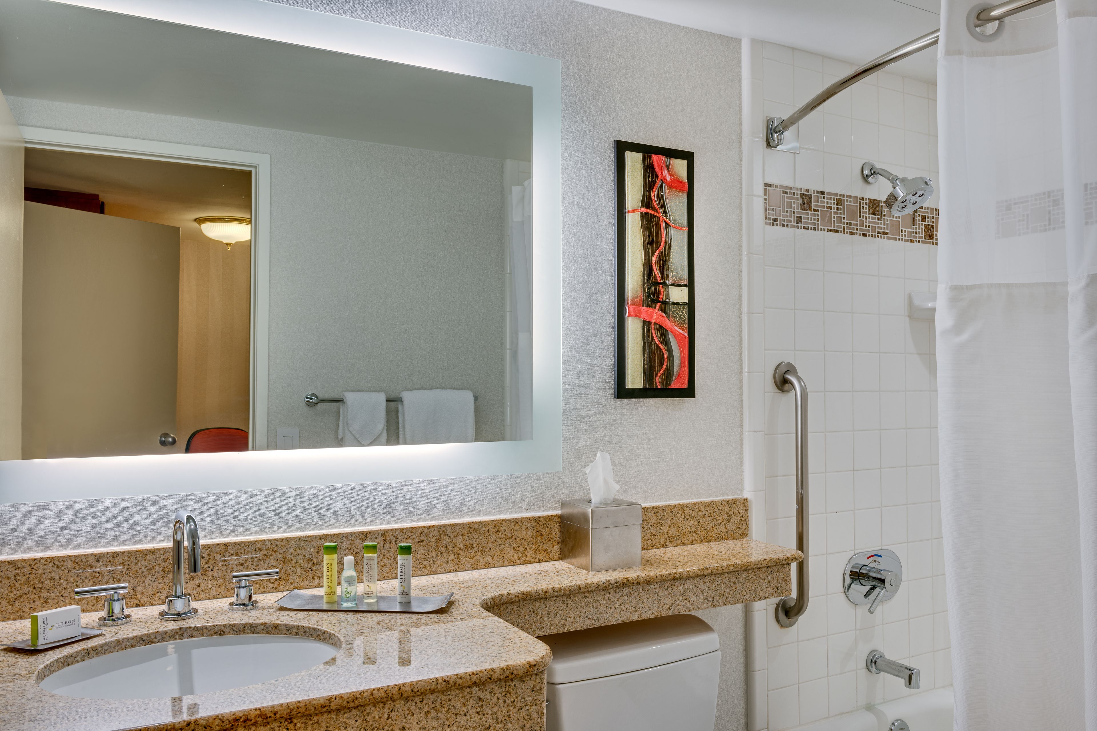 A bathroom with a large mirror, a sink with multiple faucets, a toilet, a shower with grab bars, and a towel rack.