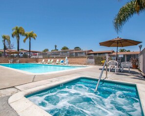 A swimming pool with lounge chairs and an umbrella, surrounded by palm trees and a fence.