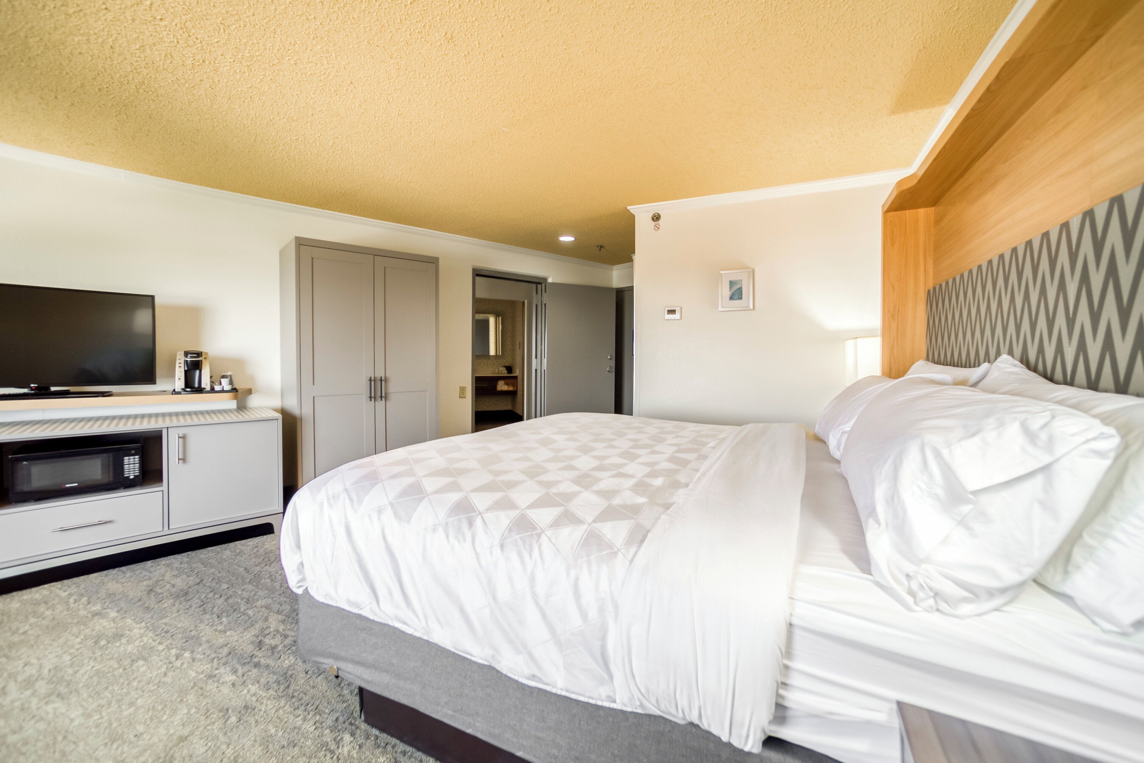 A hotel room with a bed, a television, a microwave, and a wardrobe.