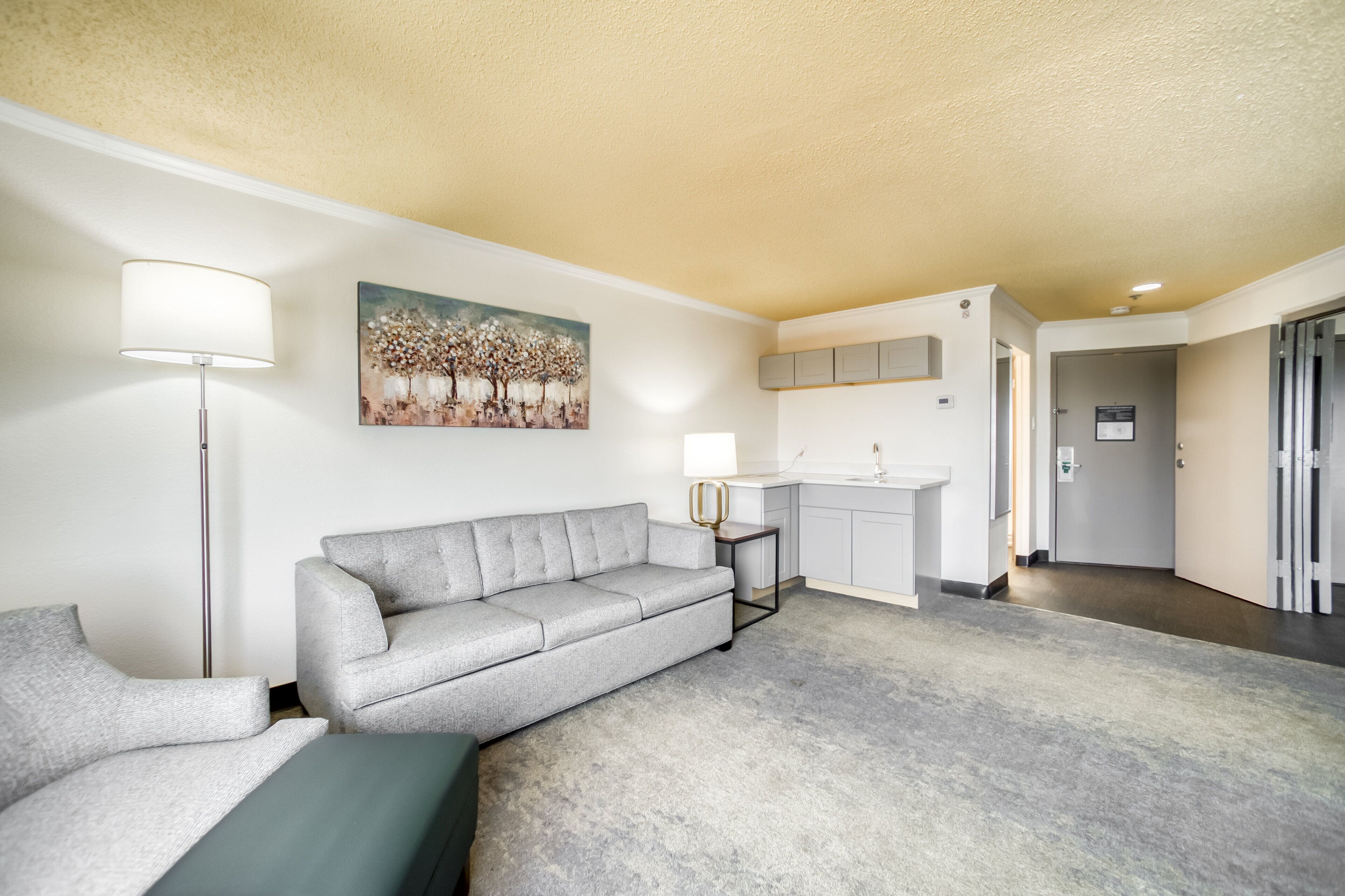 suite, 1 king bed | room amenity