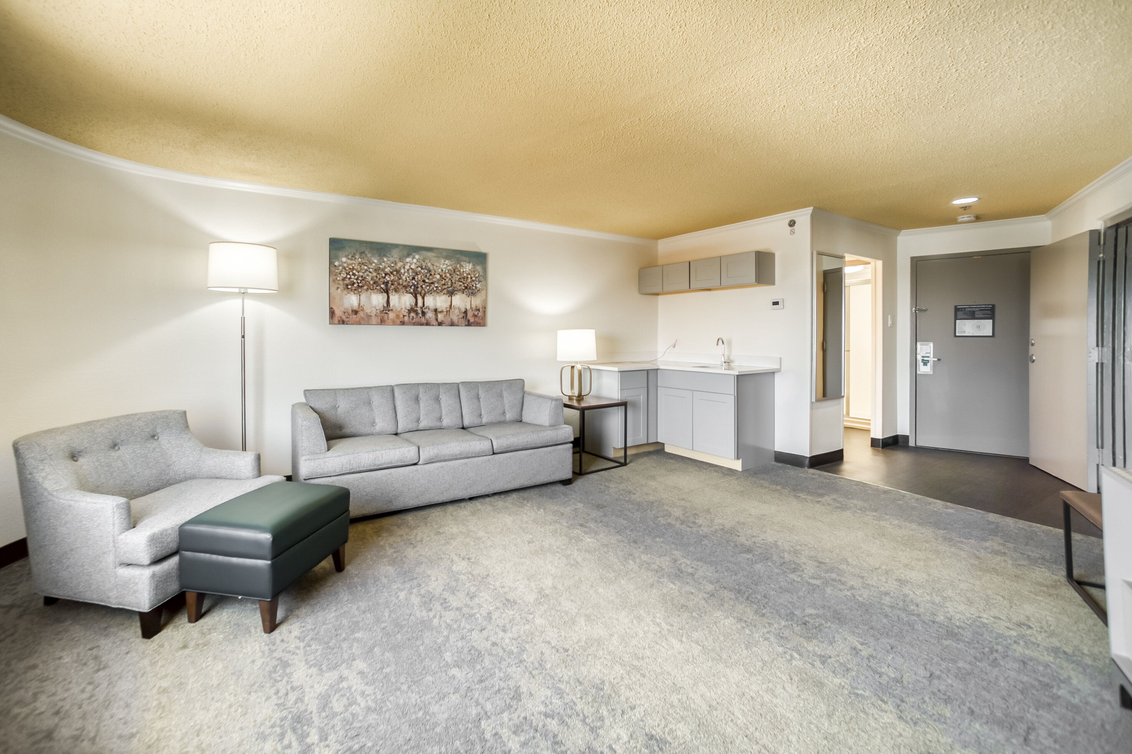 suite, 1 king bed | room amenity