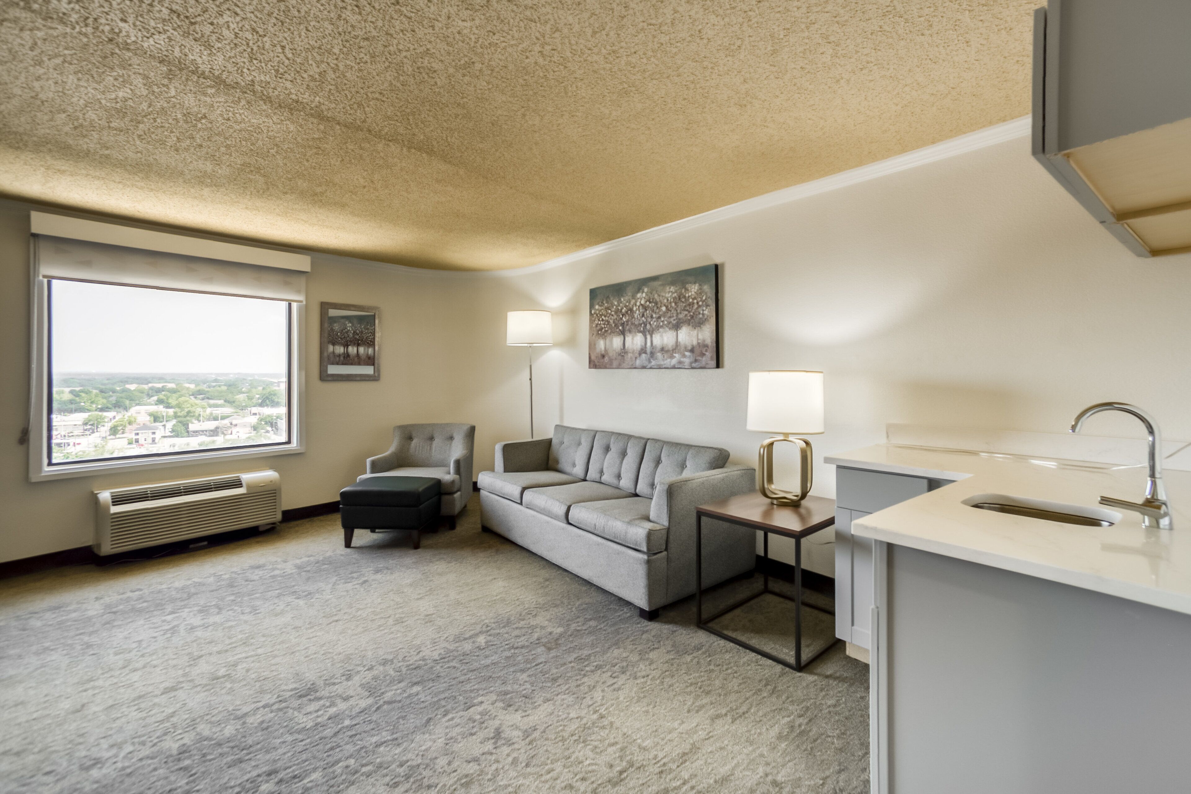 suite, 1 king bed | room amenity