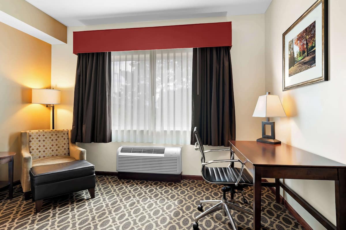 business room, 1 king bed, non smoking | desk, laptop workspace, iron/ironing board, rollaway beds