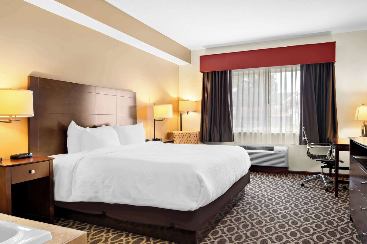 Habitación de hotel con una cama grande, dos lámparas de noche, un escritorio con silla, una ventana con cortinas y una alfombra estampada.