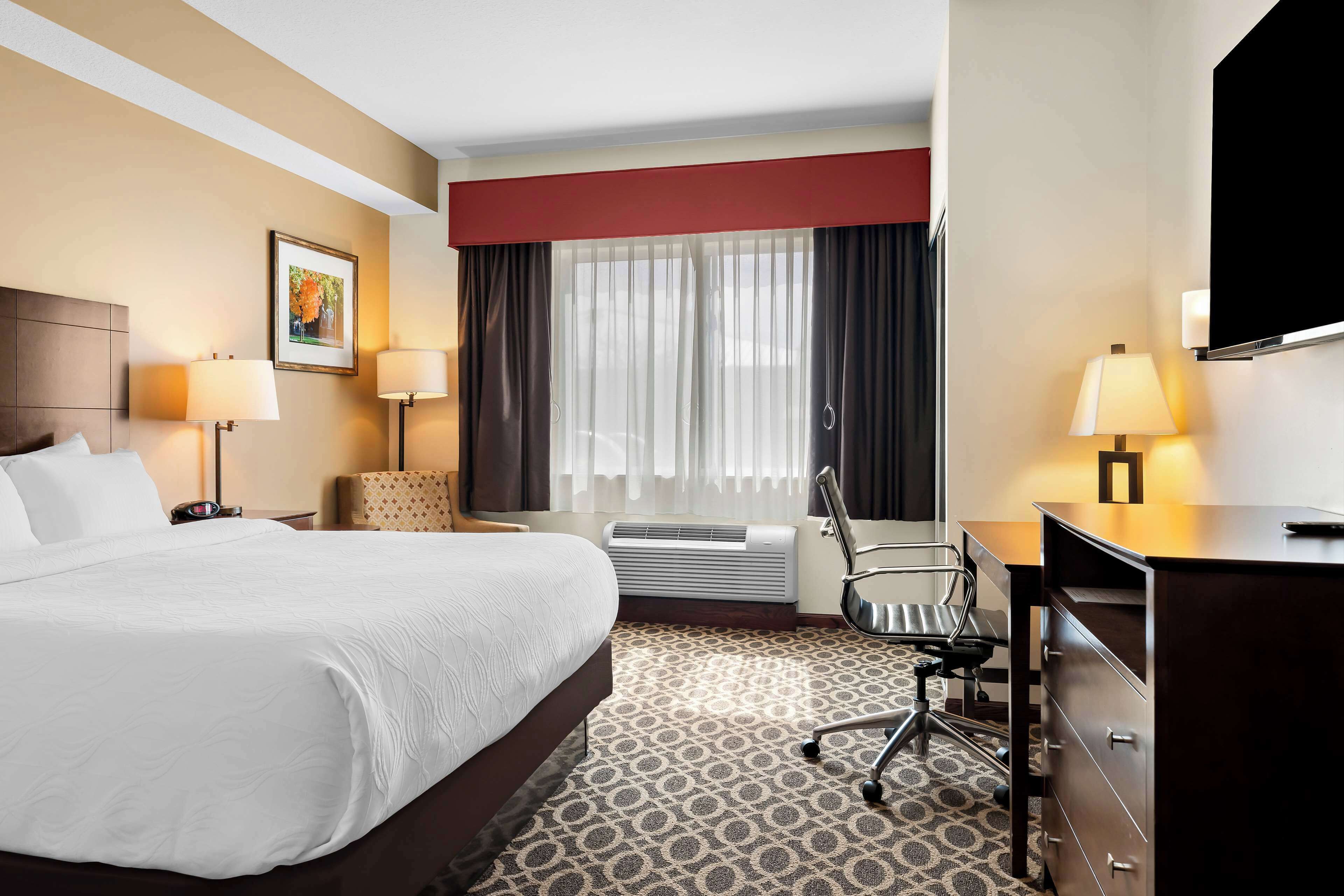 business room, 1 king bed, accessible, non smoking | desk, laptop workspace, iron/ironing board, rollaway beds