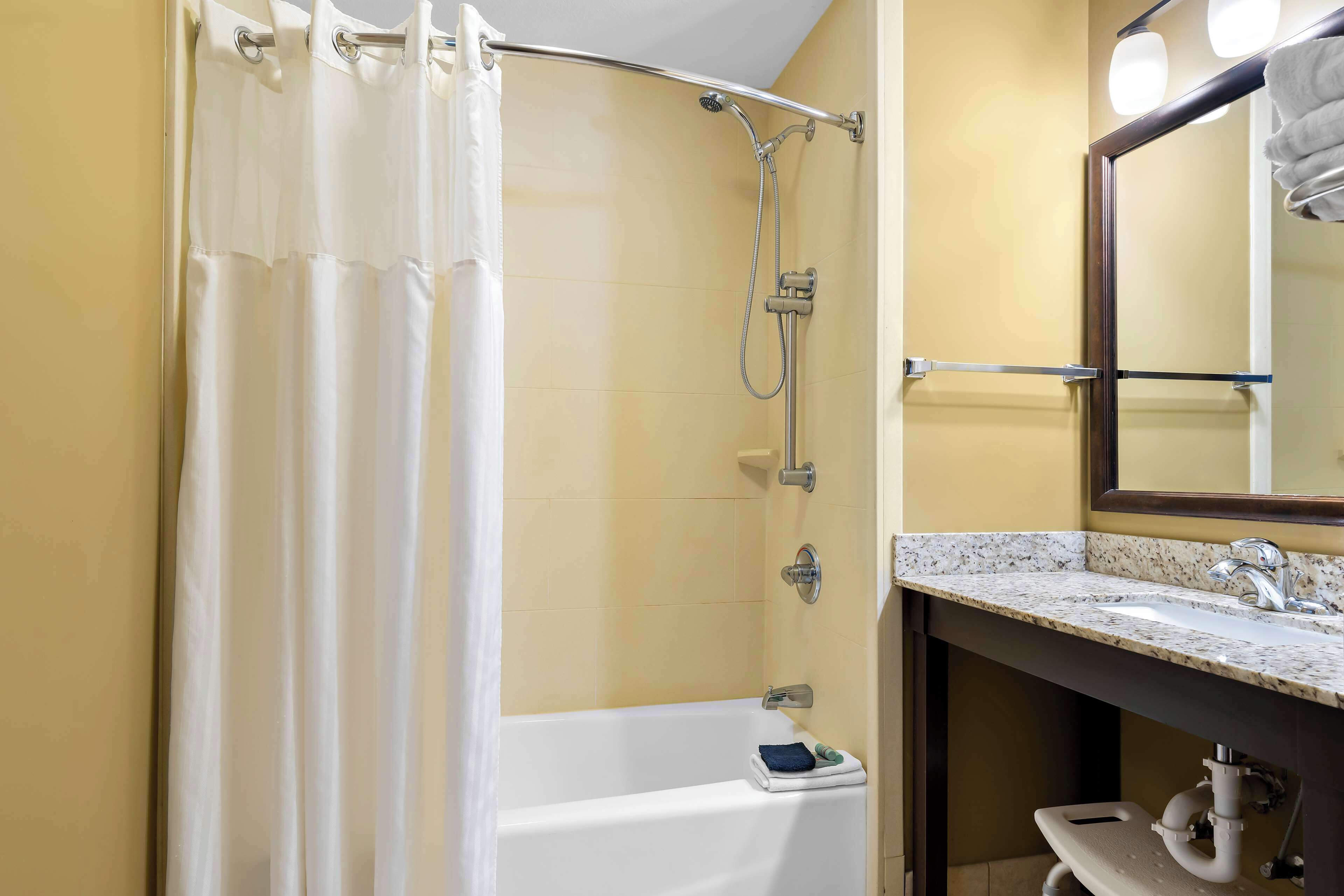 business room, 1 king bed, accessible, non smoking | bathroom | combined shower/bathtub, free toiletries, hair dryer, towels