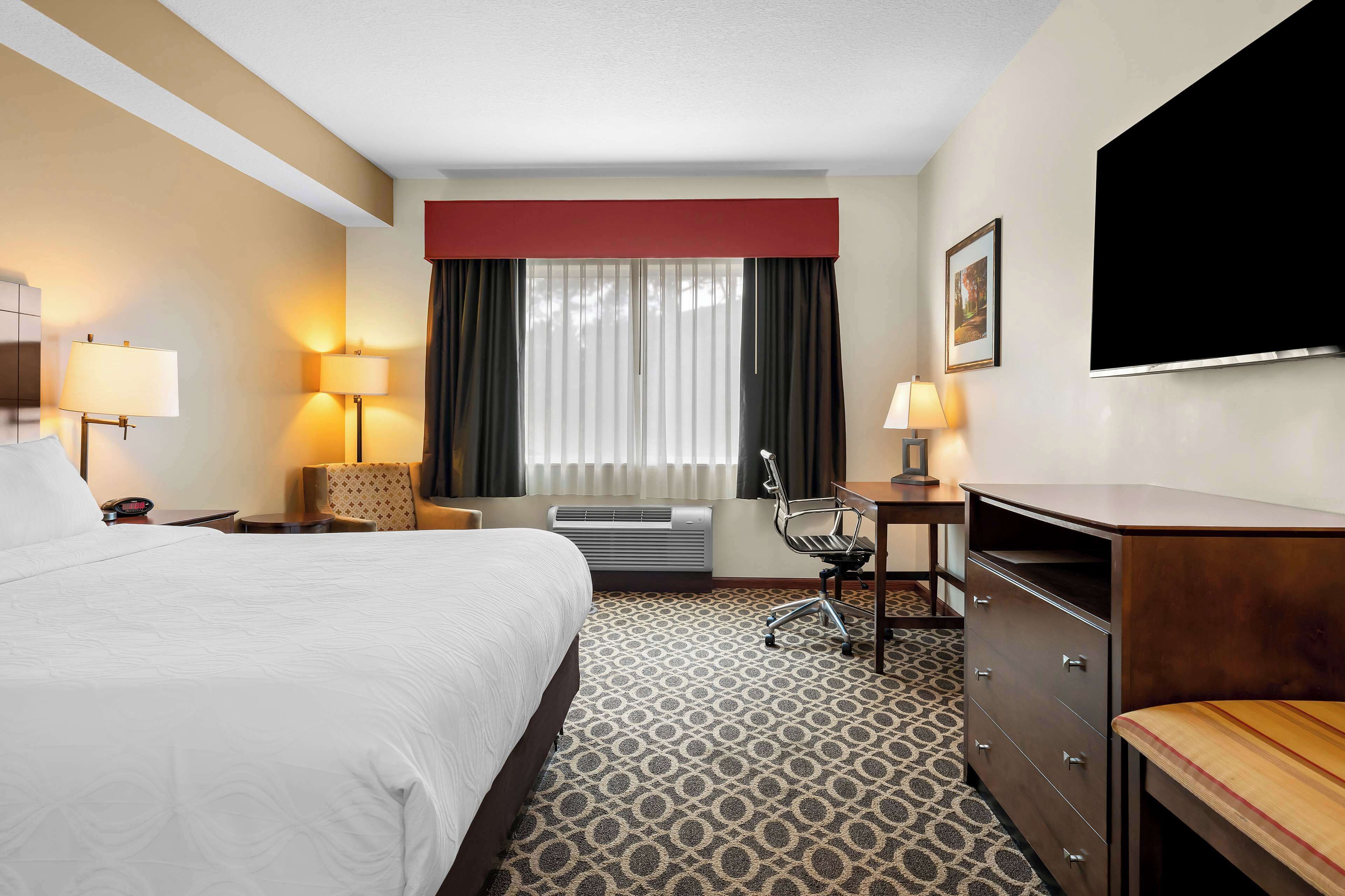 business room, 1 king bed, non smoking | desk, laptop workspace, iron/ironing board, rollaway beds