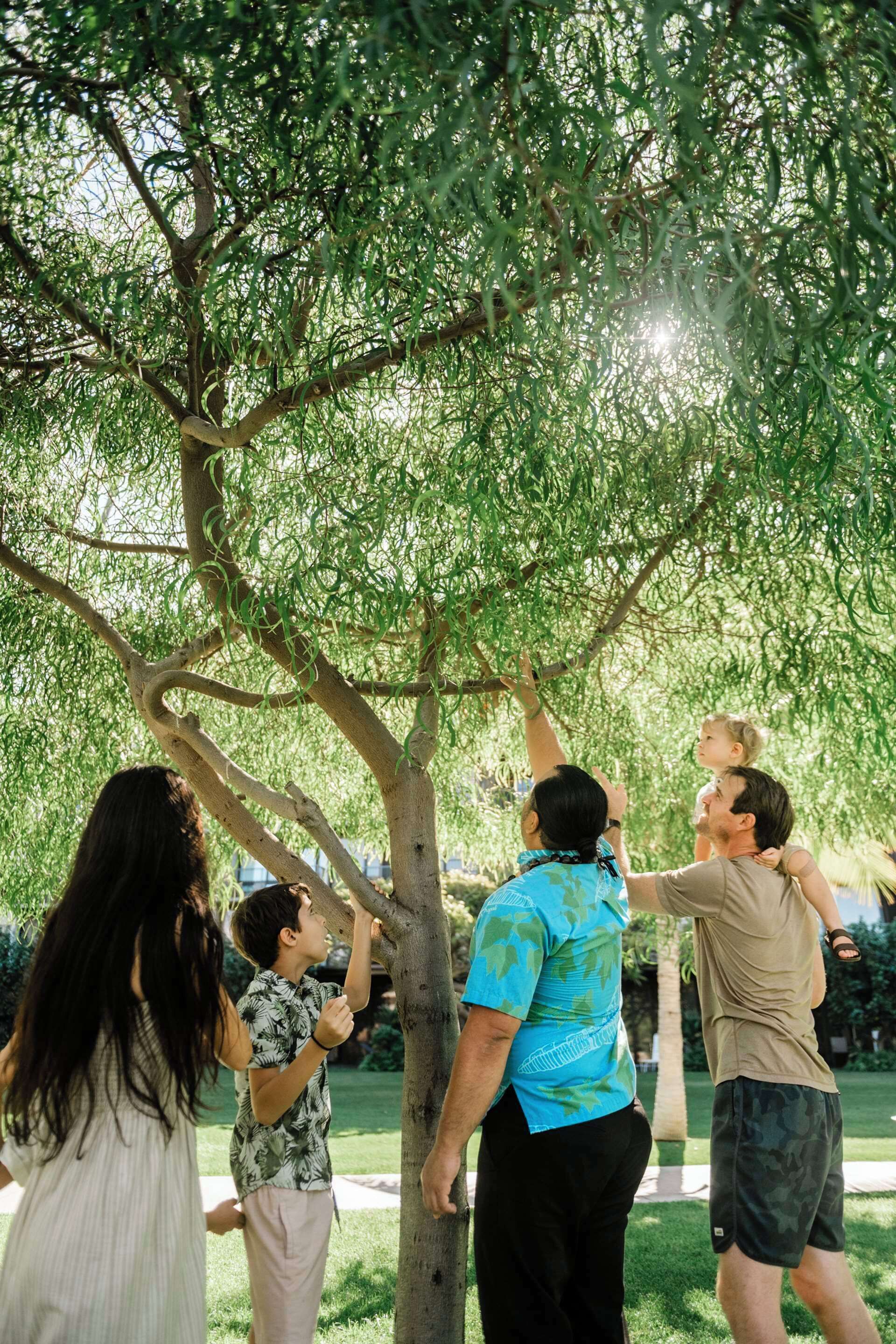 アウトリガー カアナパリ ビーチ リゾート Expedia提供写真