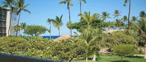 Een tropisch resort met palmbomen, een heldere lucht en uitzicht op de oceaan.