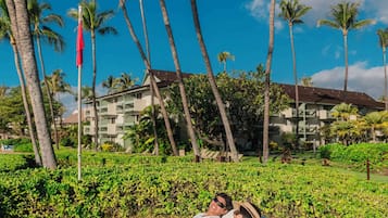 On the beach, beach cabanas, sun loungers, beach umbrellas