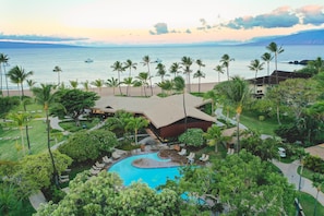 A resort with a swimming pool, palm trees, and a view of the ocean.